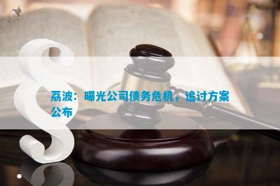 荔波：曝光公司债务危机追讨方案公布